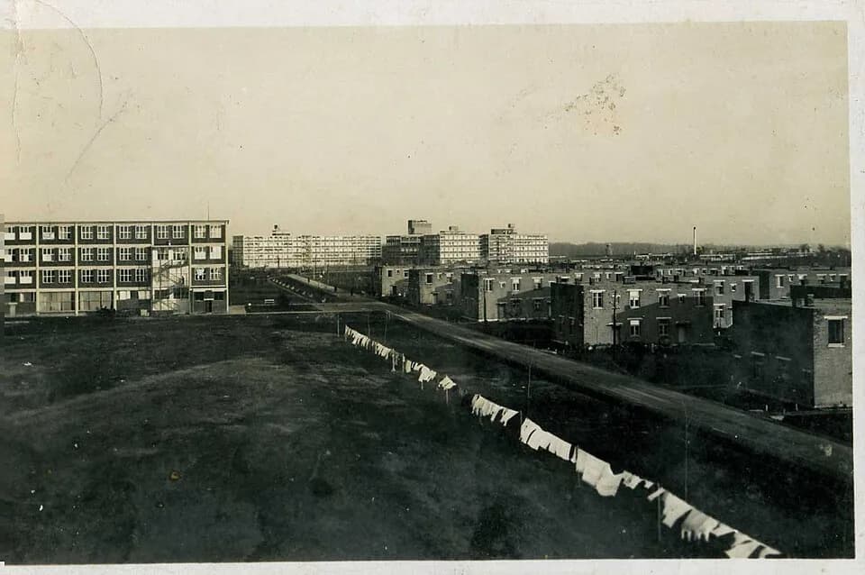 Borovo Naselje