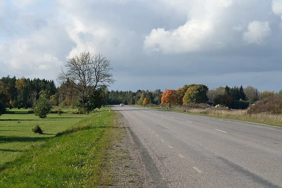 Valkse