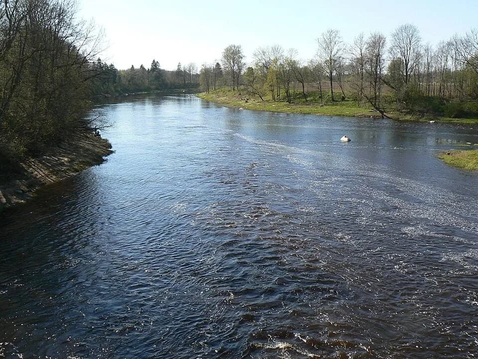 Jõesuu