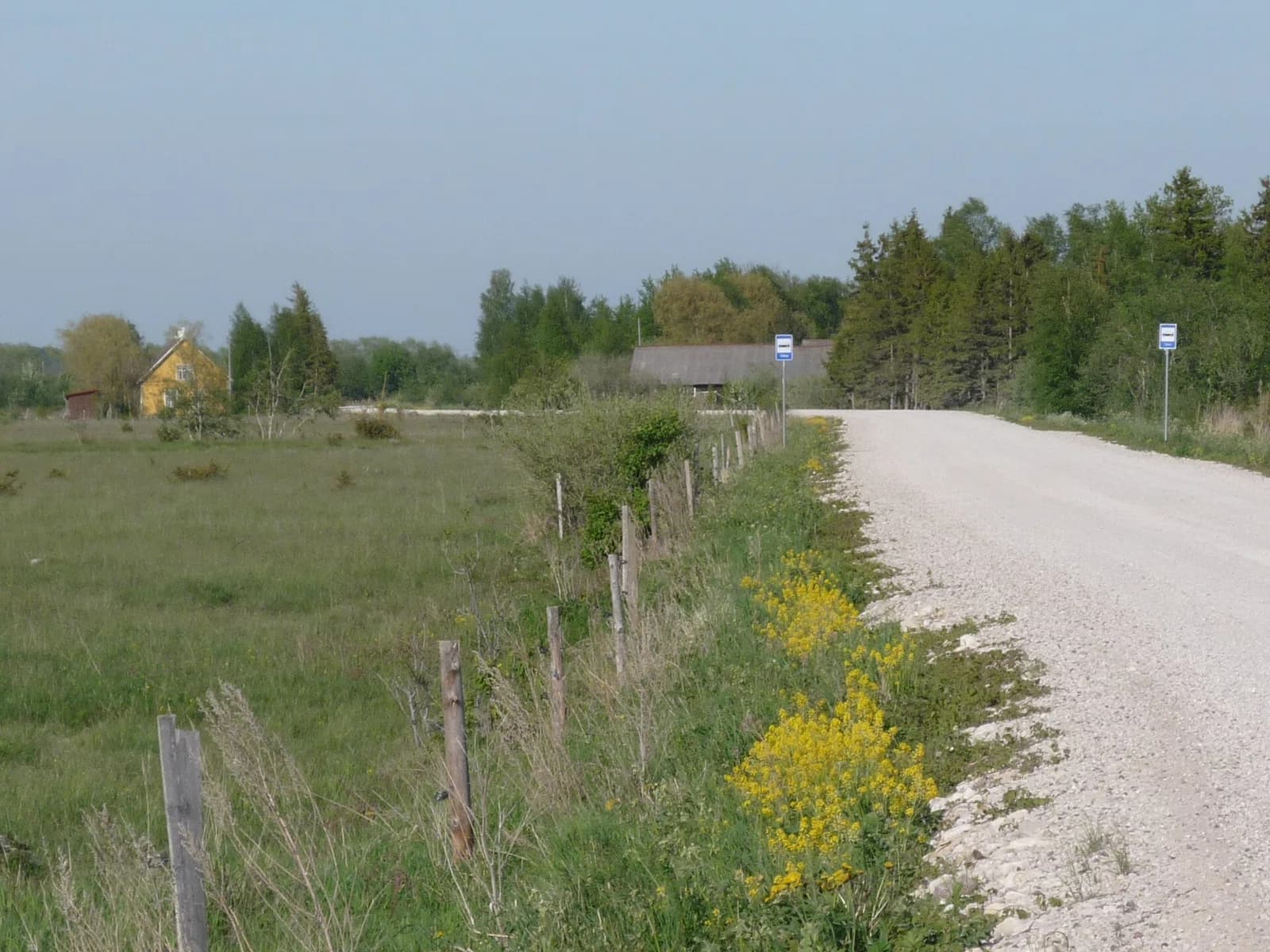 Põgari-Sassi
