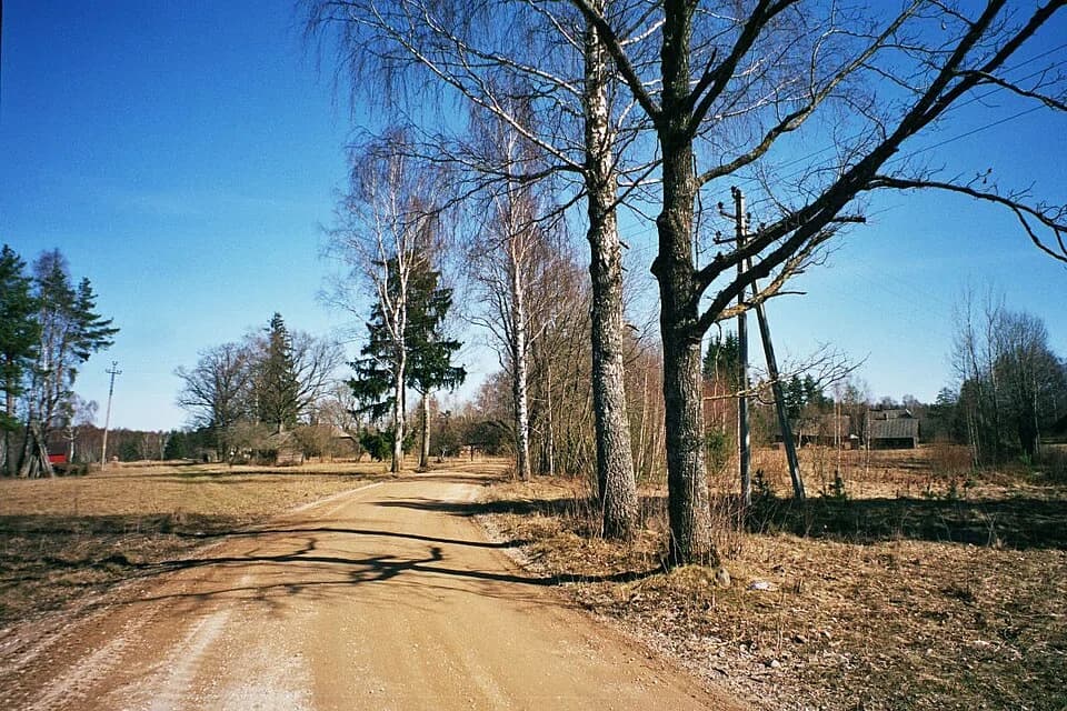 Lutsu