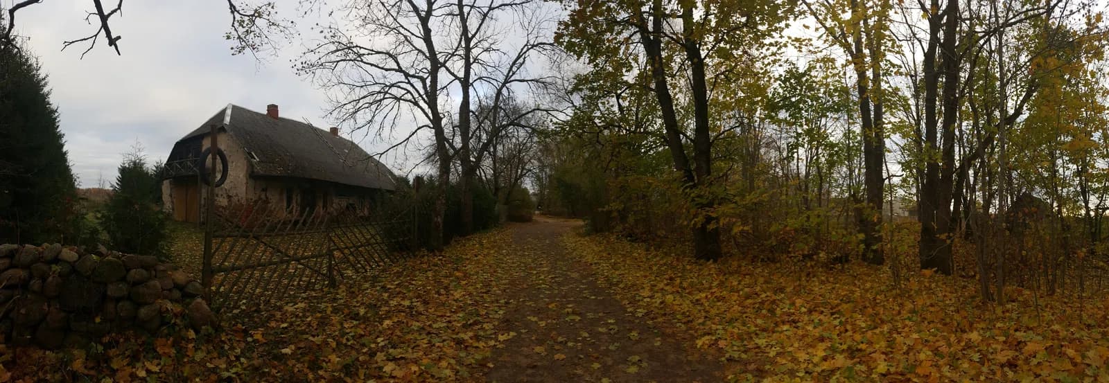 Haaslava