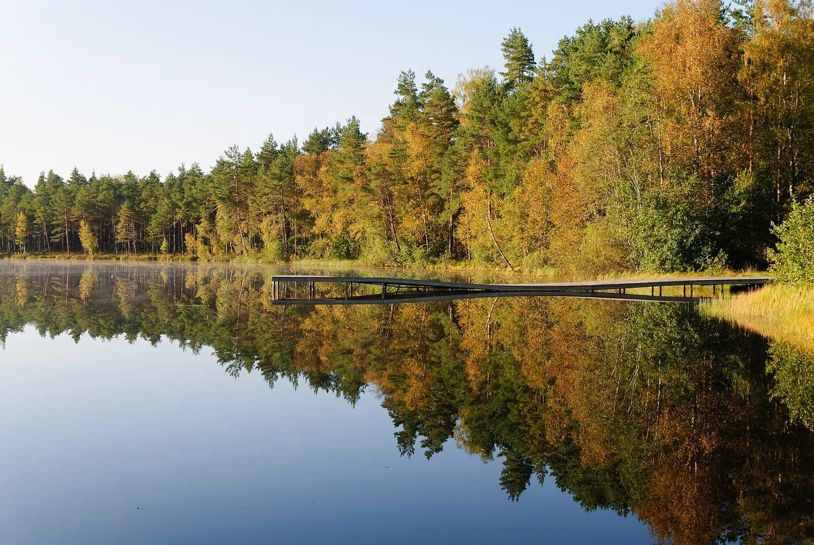 Võõbu