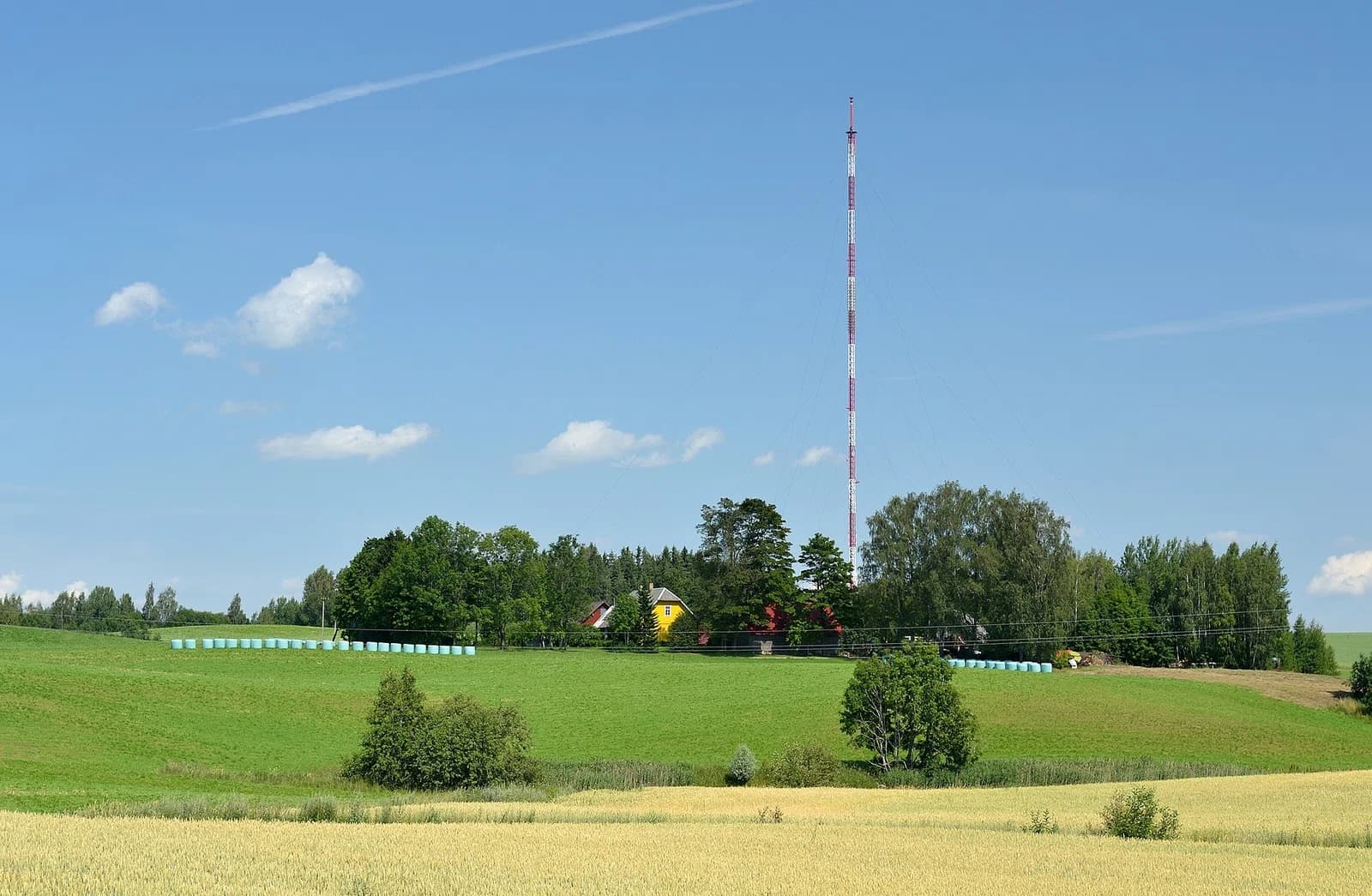 Pikareinu