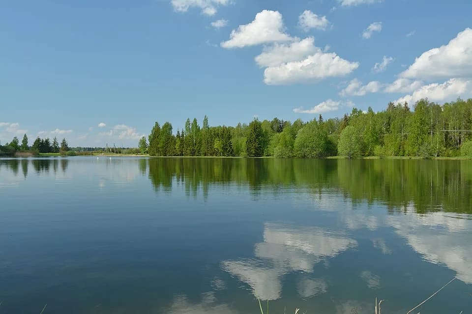 Kõpu