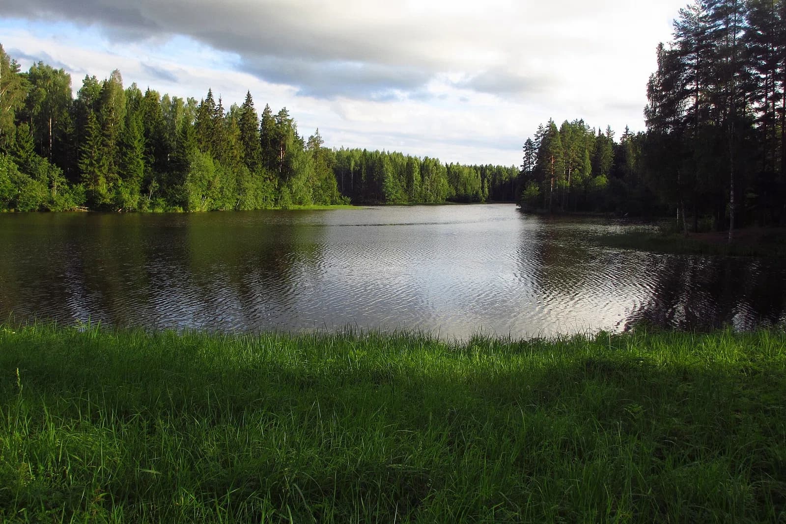 Laiksaare