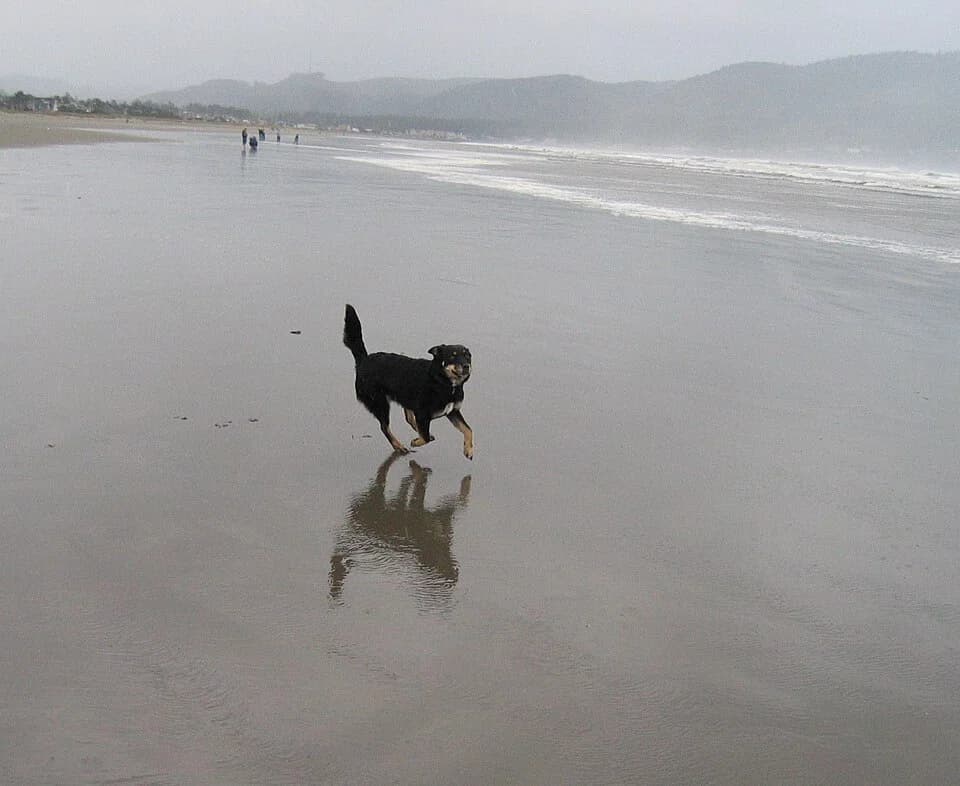 Agate Beach