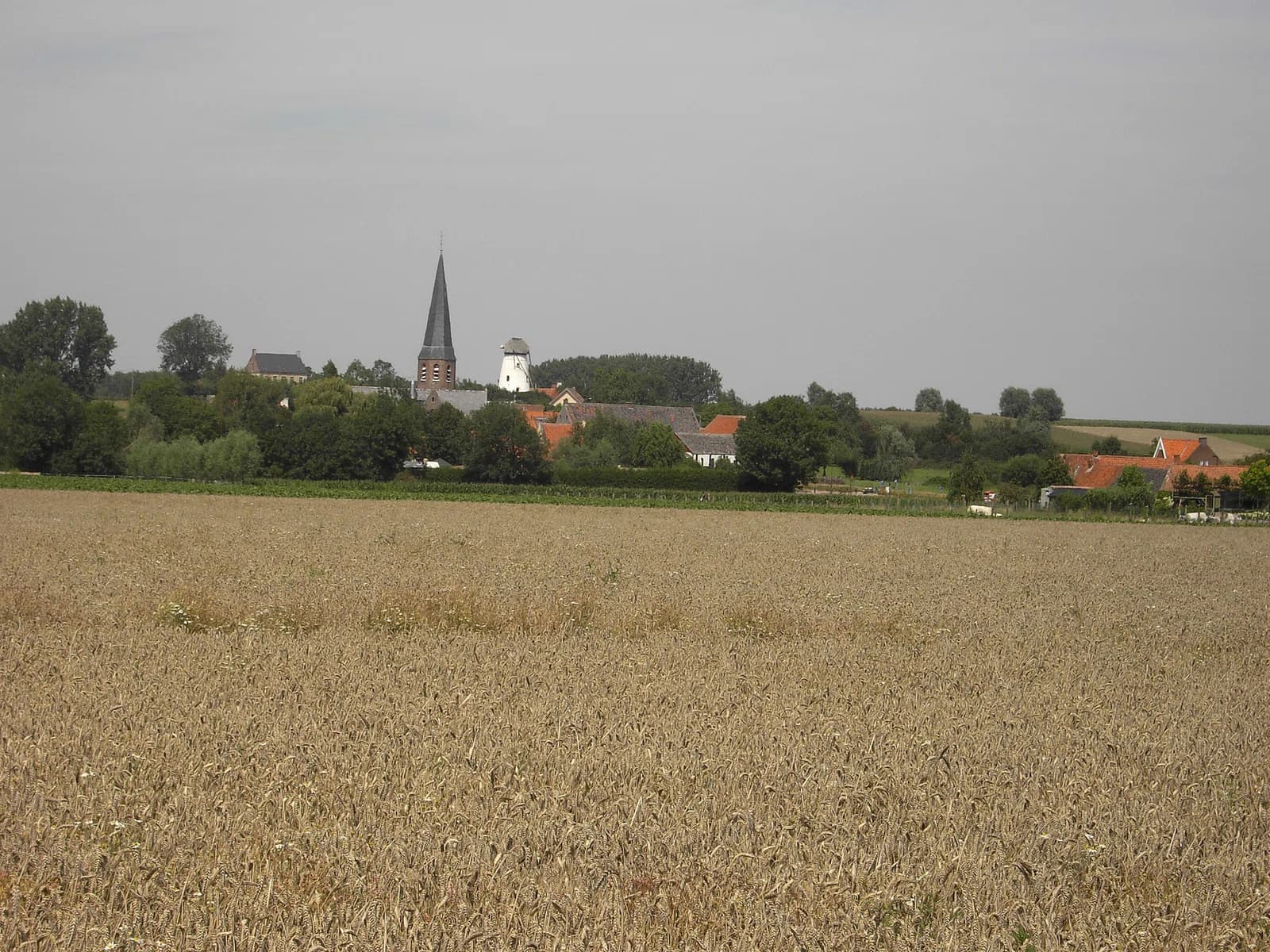 Baaigem