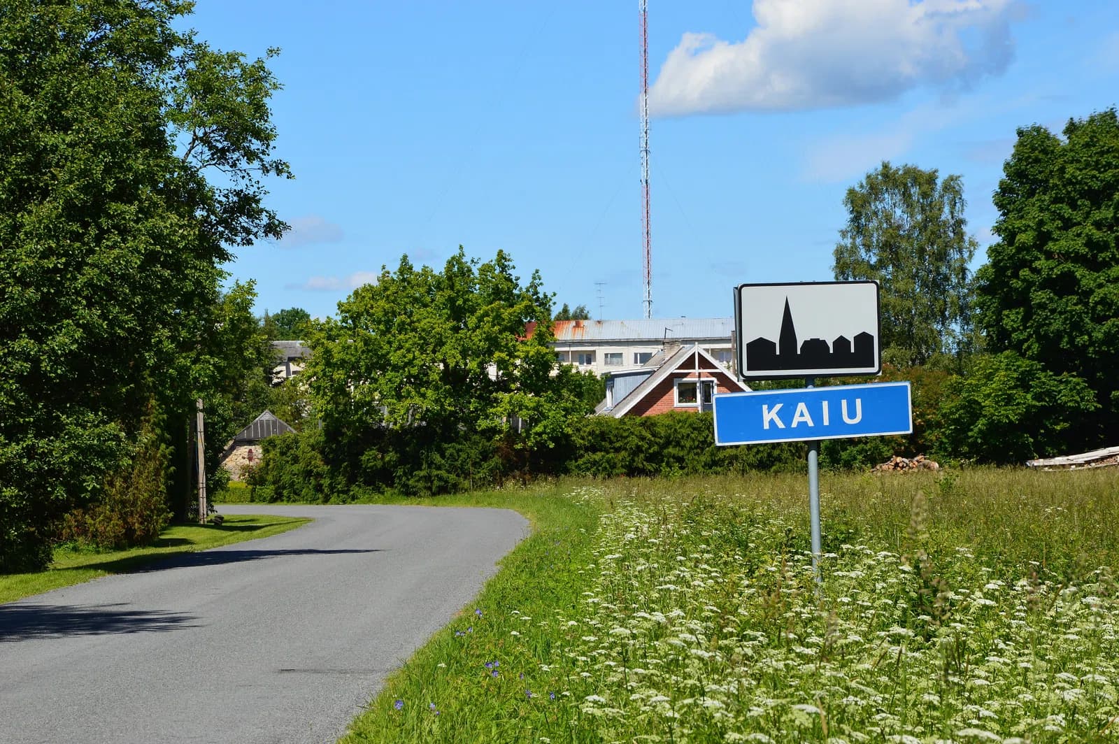 Kaiu