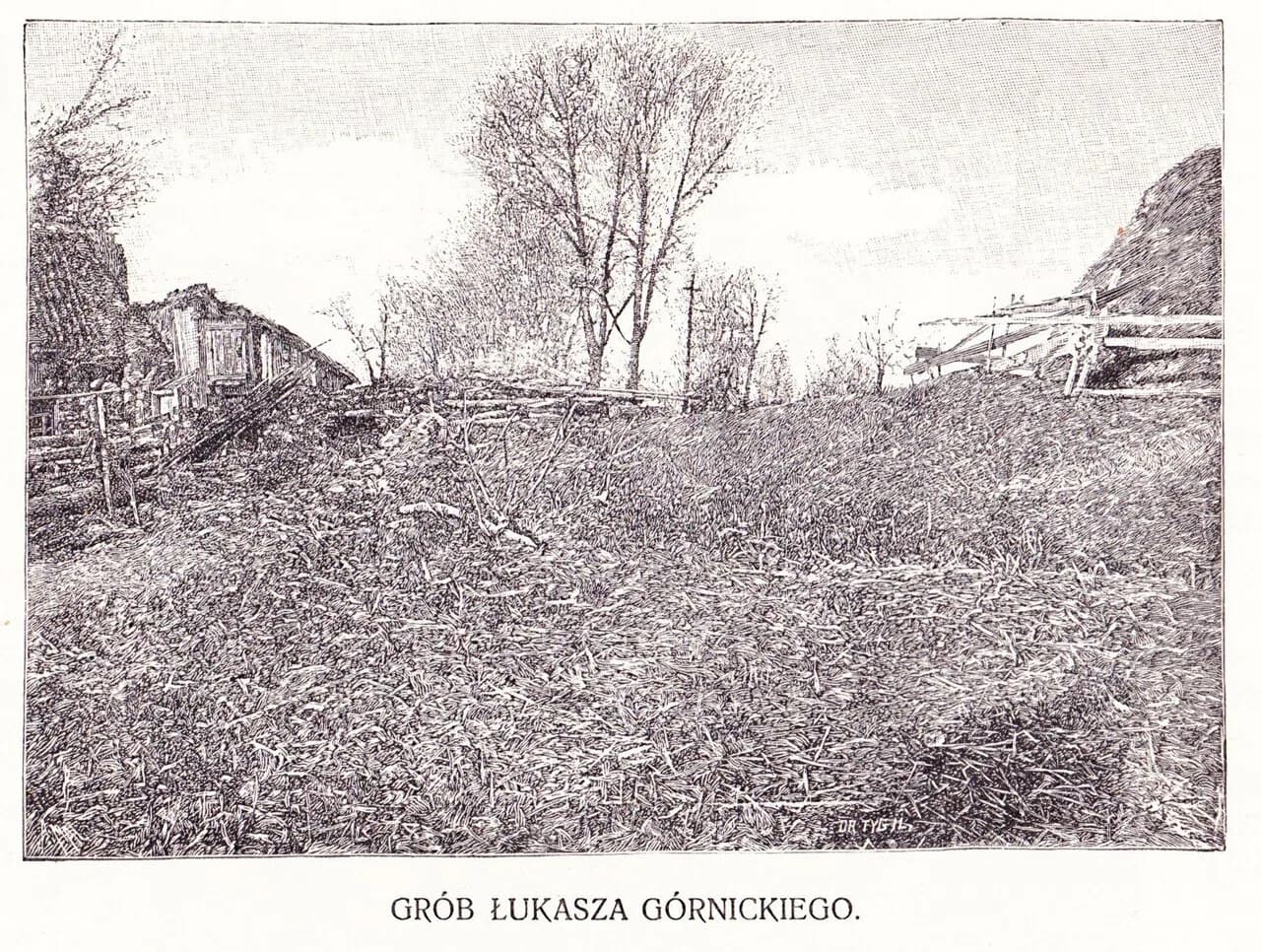 Lipniki