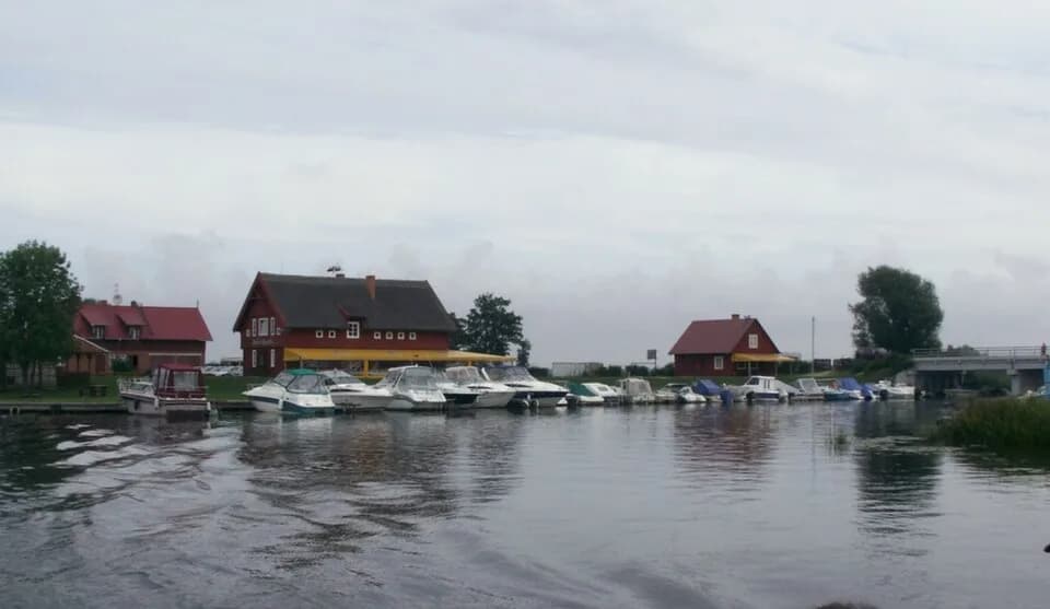 Mingė