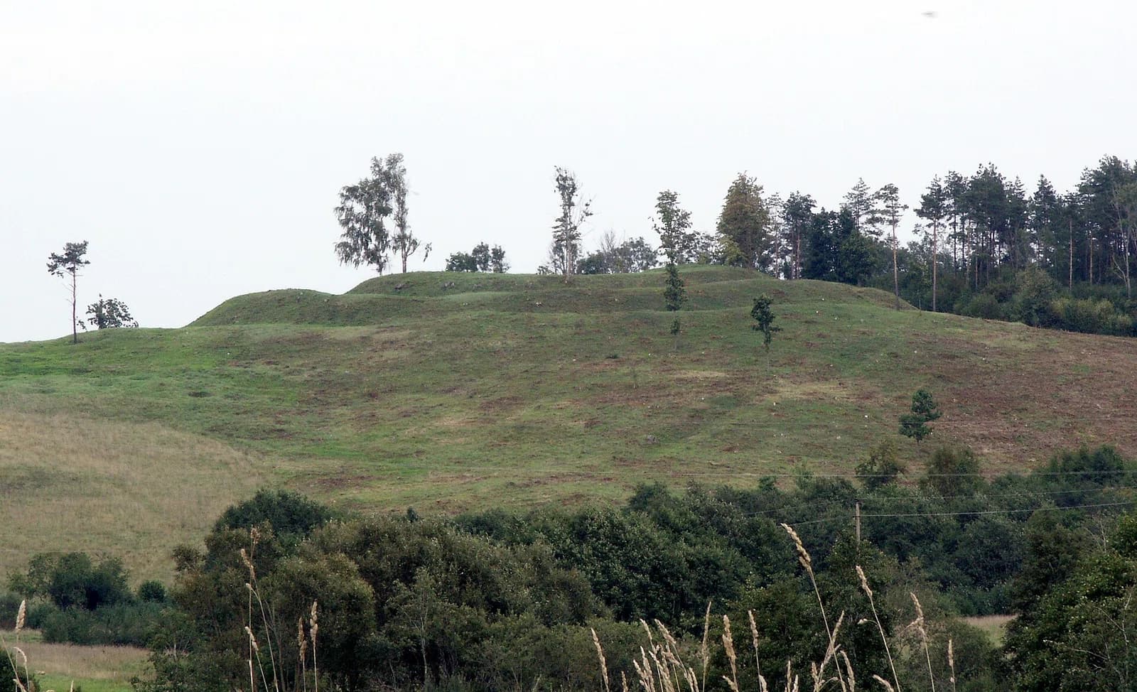 Pavandenė