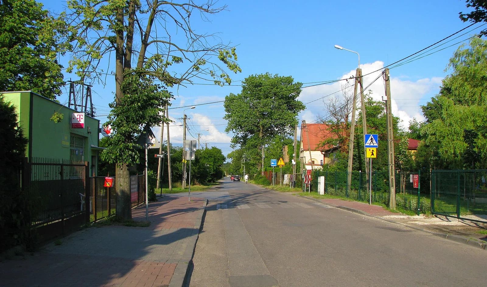Żółwin