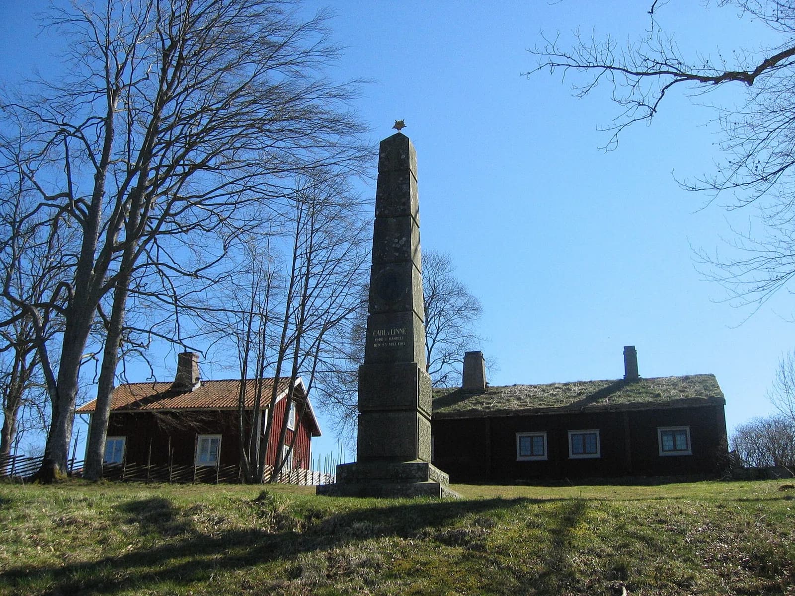 Stenbrohult