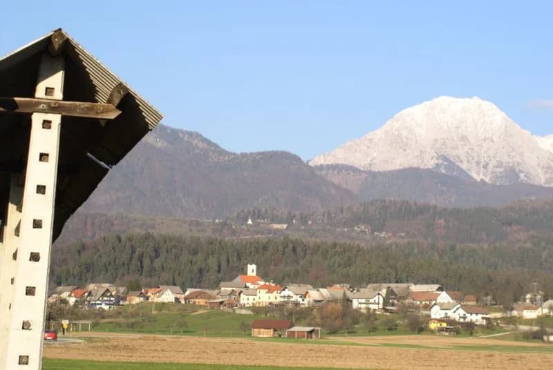 Olševek