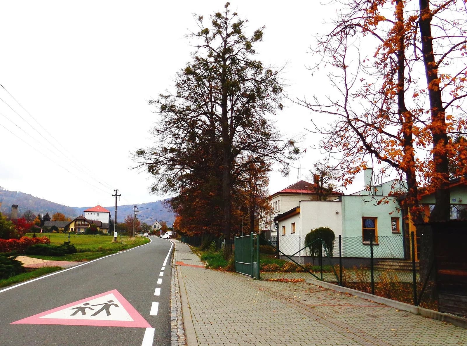 Karpentná