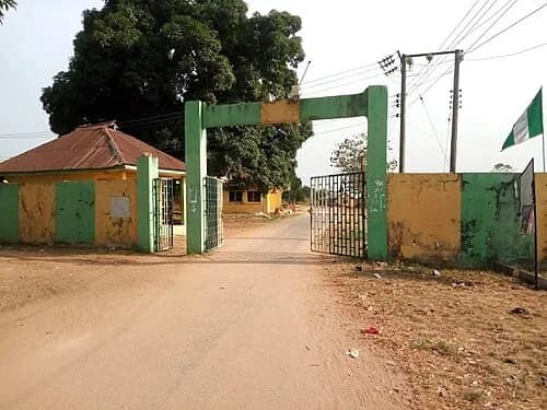 Oguta