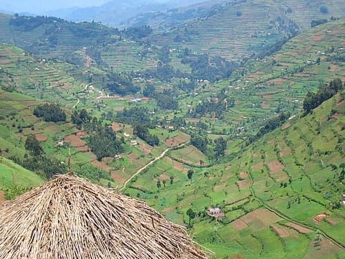 Distrikt Kabale