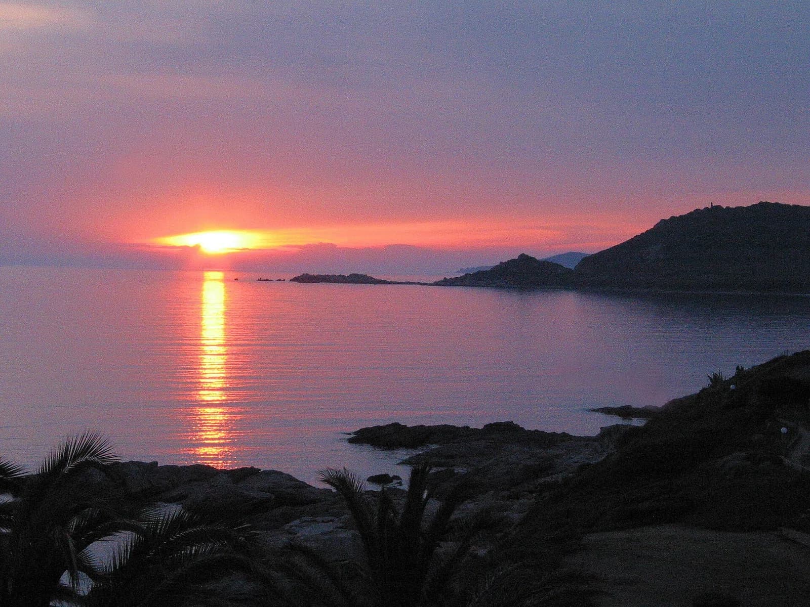 Tiuccia