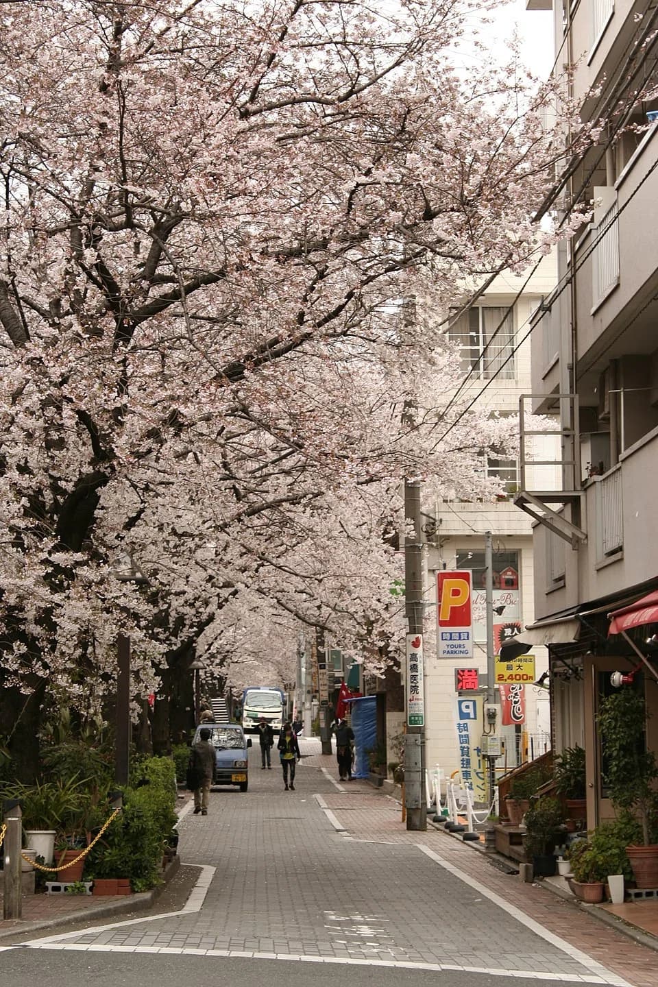 Aobadai