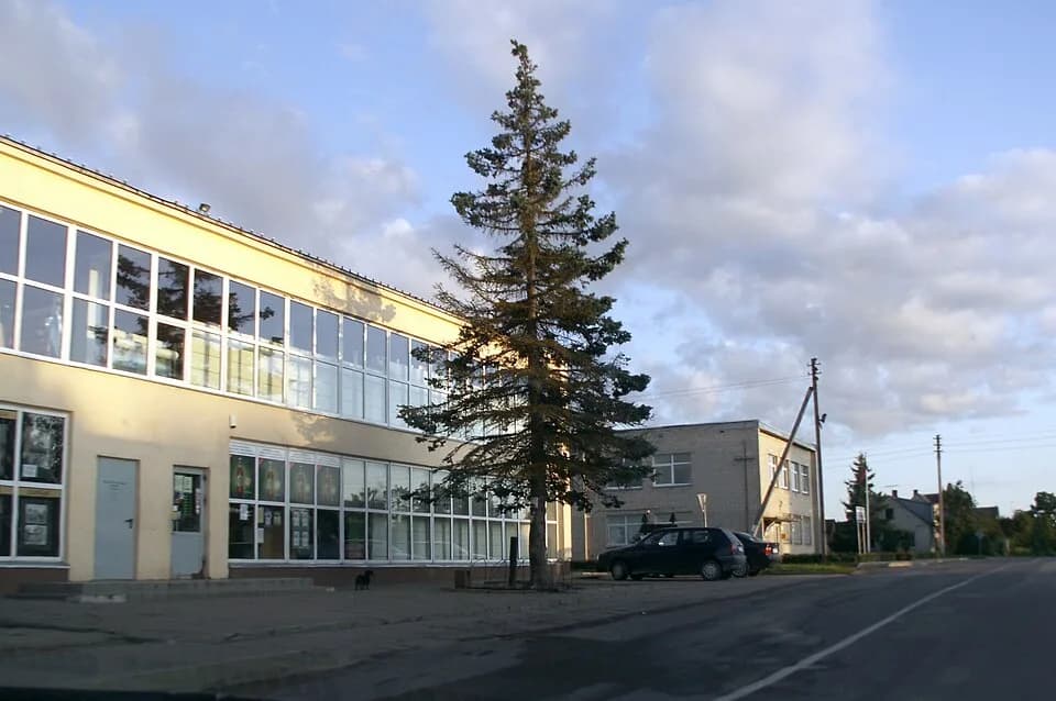 Tryškiai