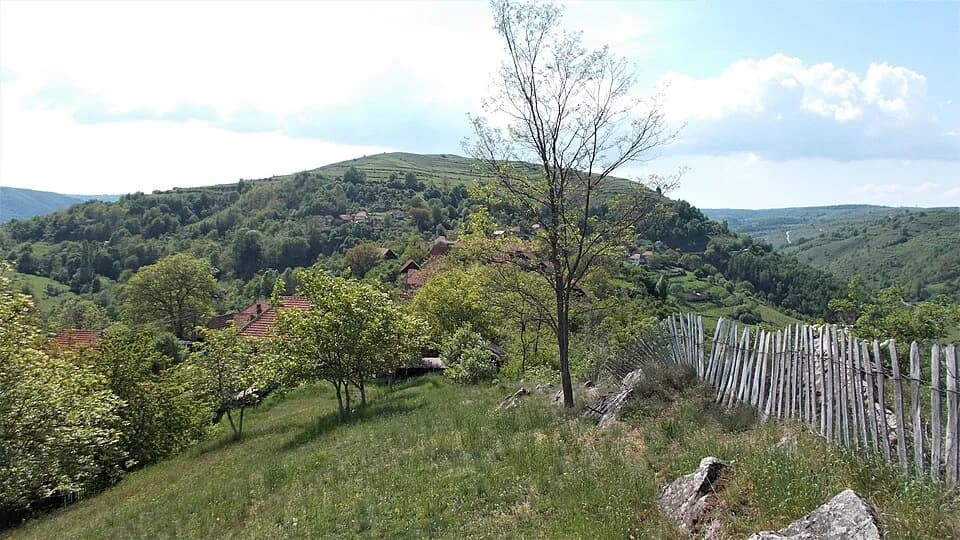 Poienița Voinii