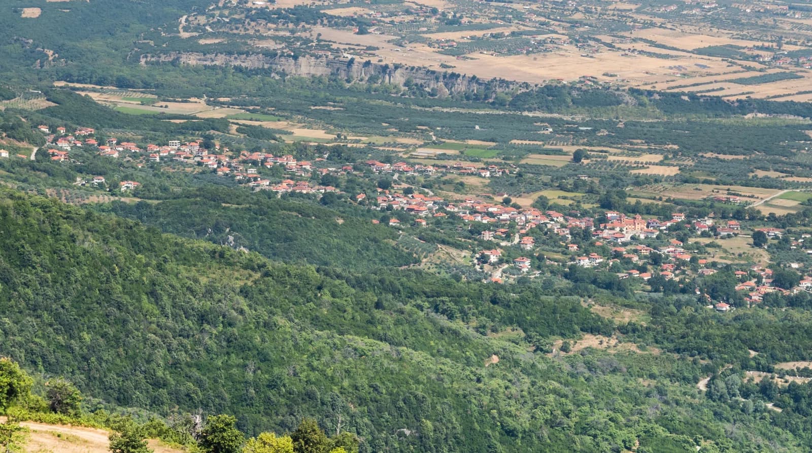 Skotina