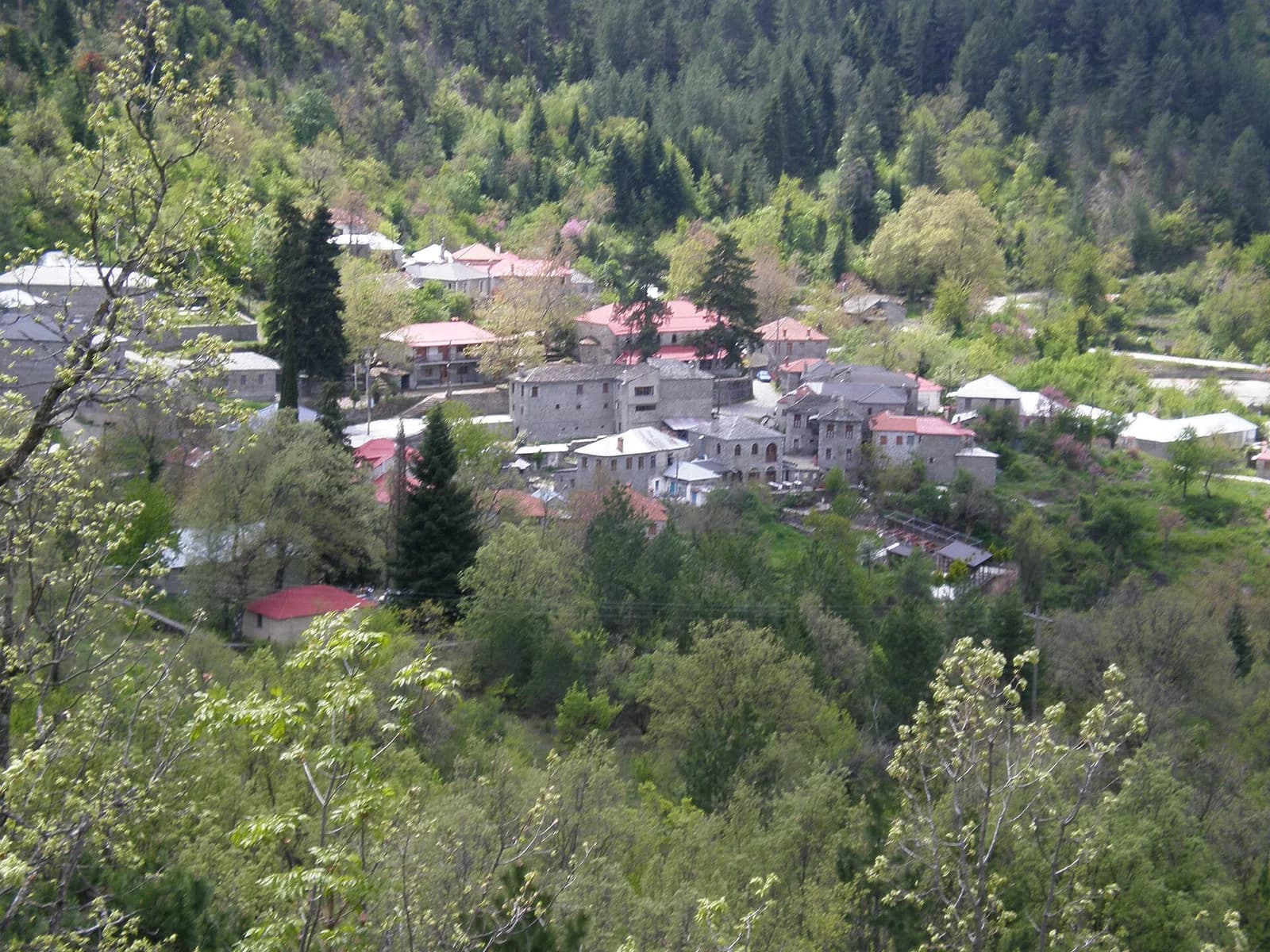 Molista