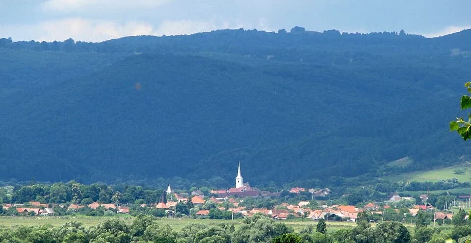 Vârghiș