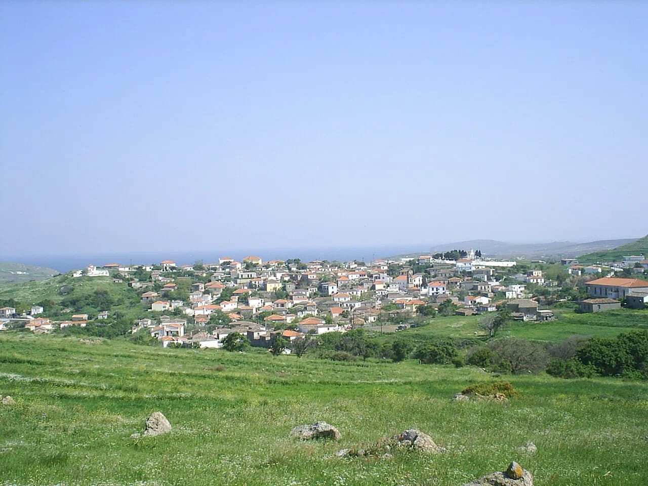 Kaminia