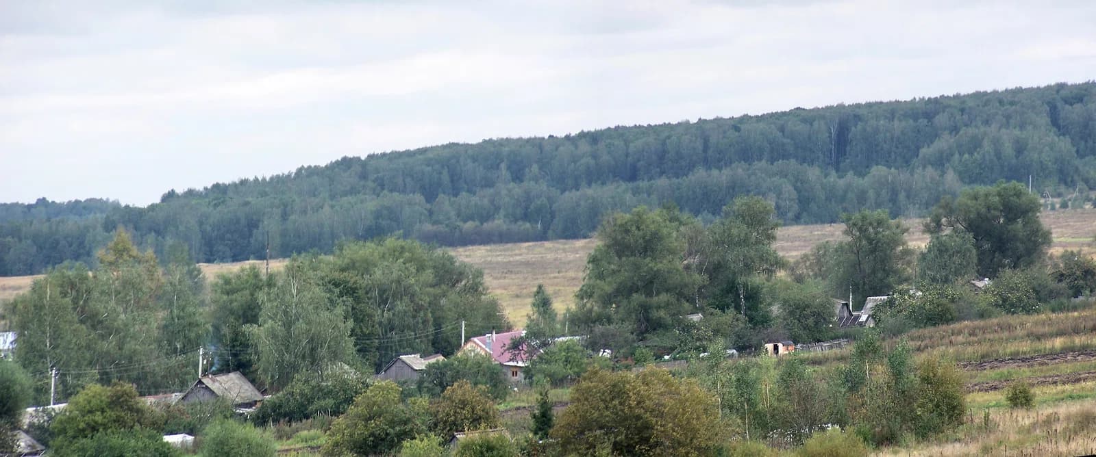 Arsenyevsky District