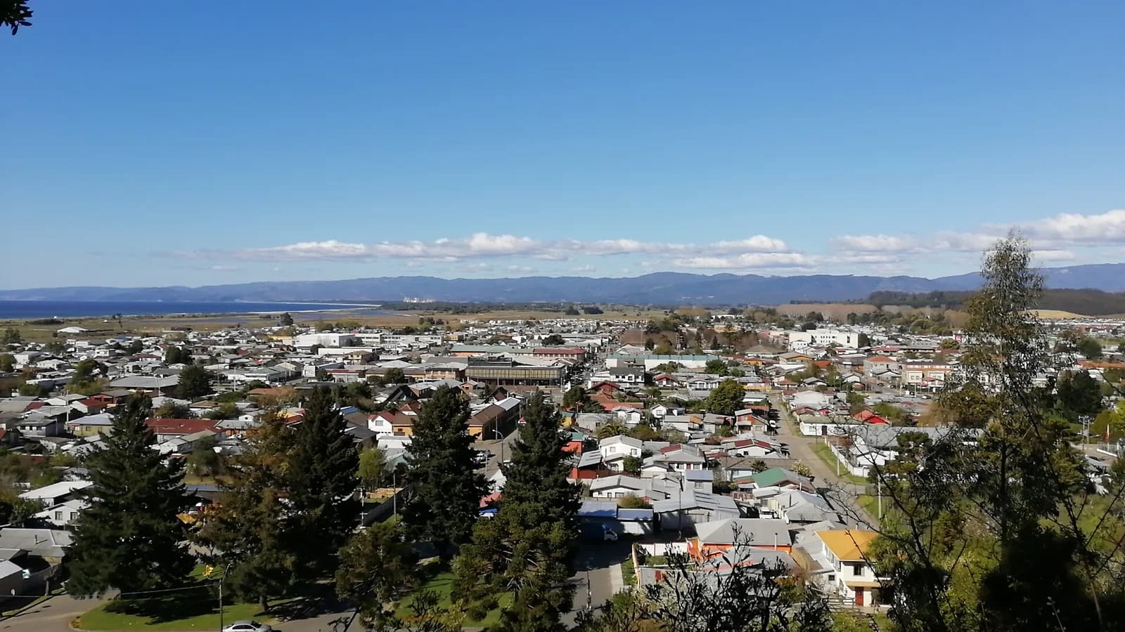 Arauco