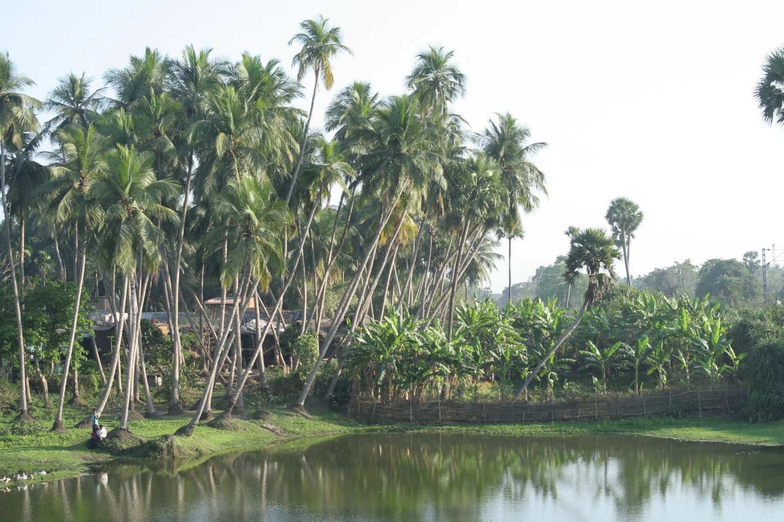 Raghurajpur