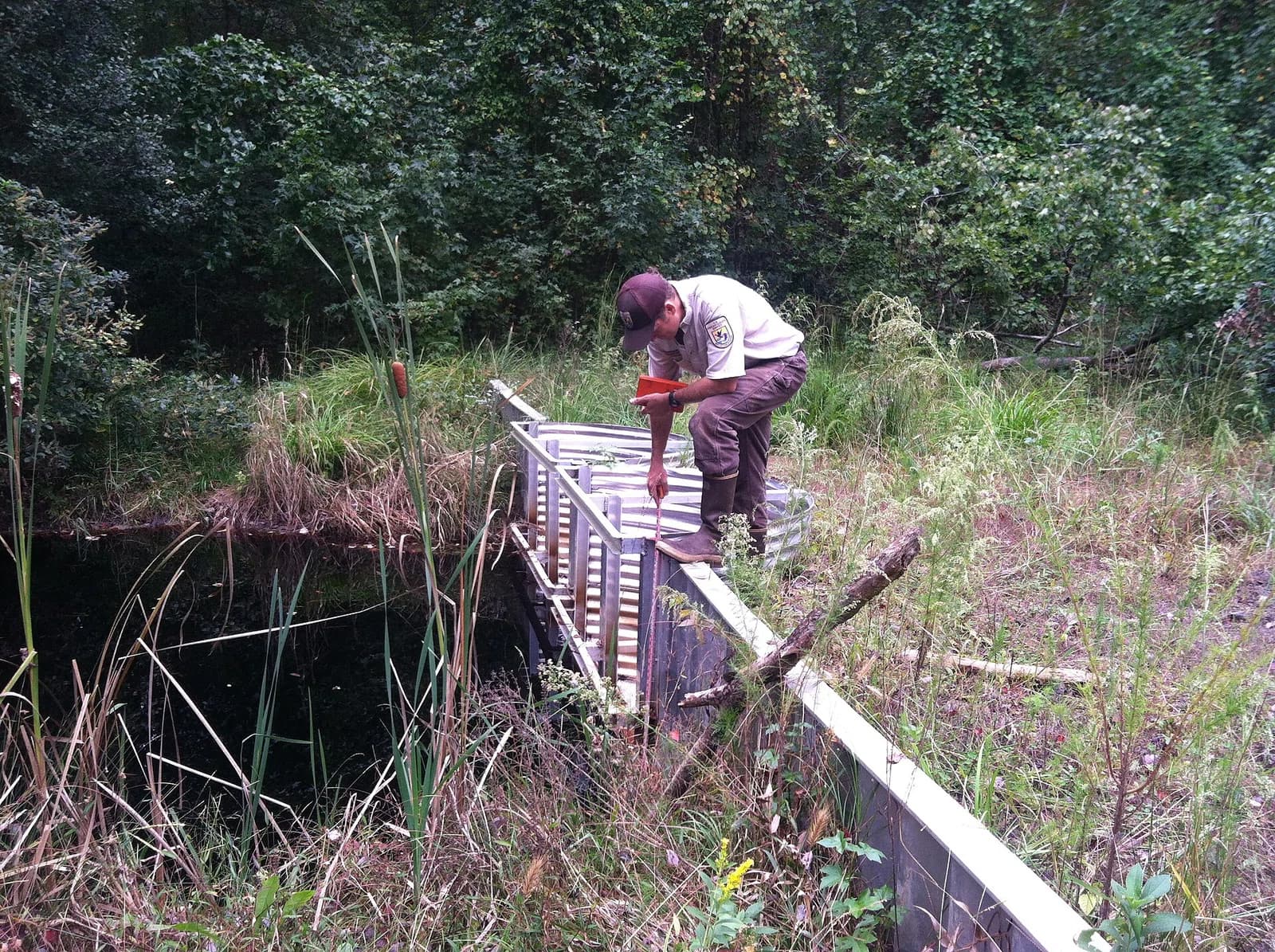 hydrologist
