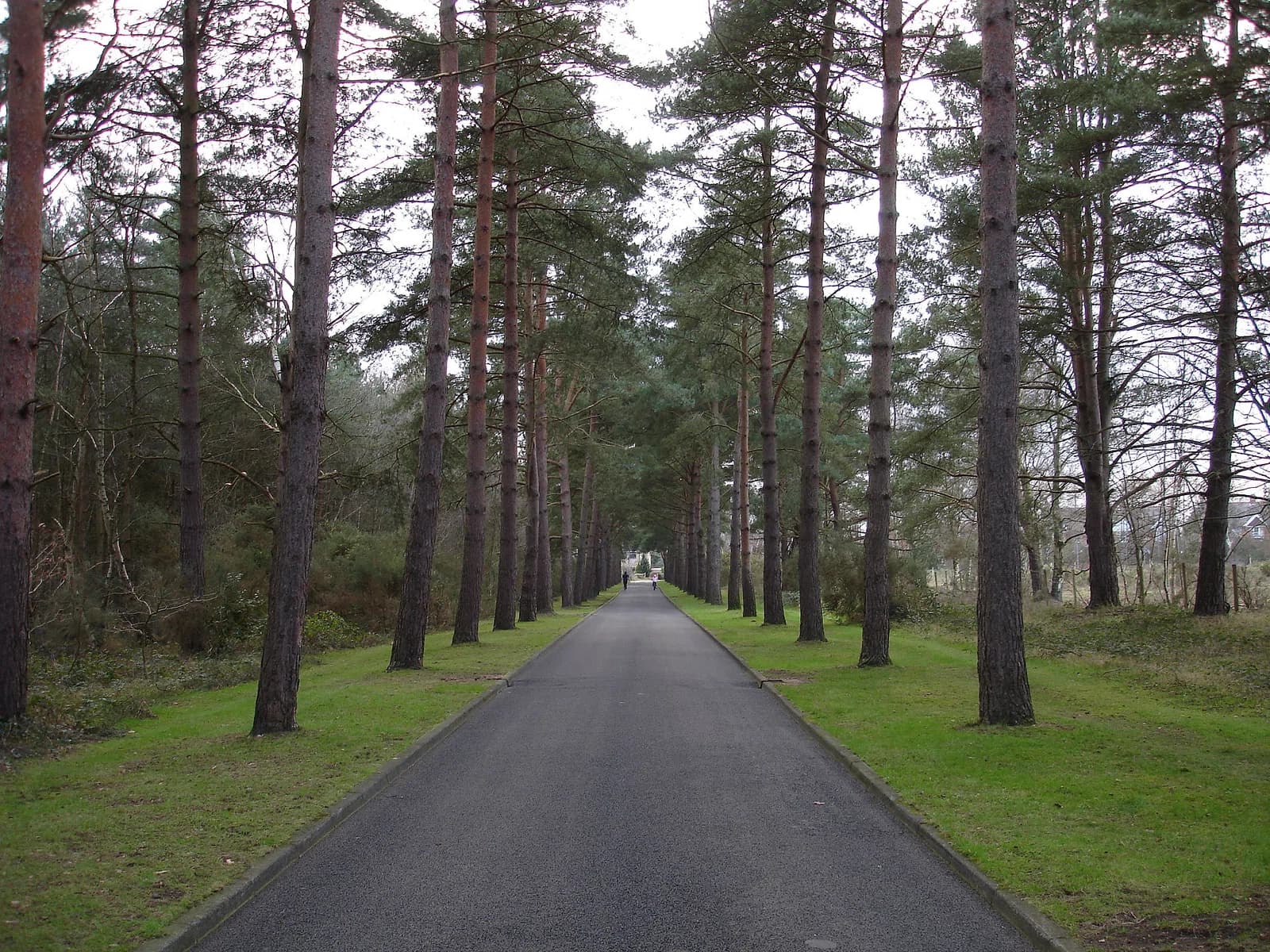 Brookwood