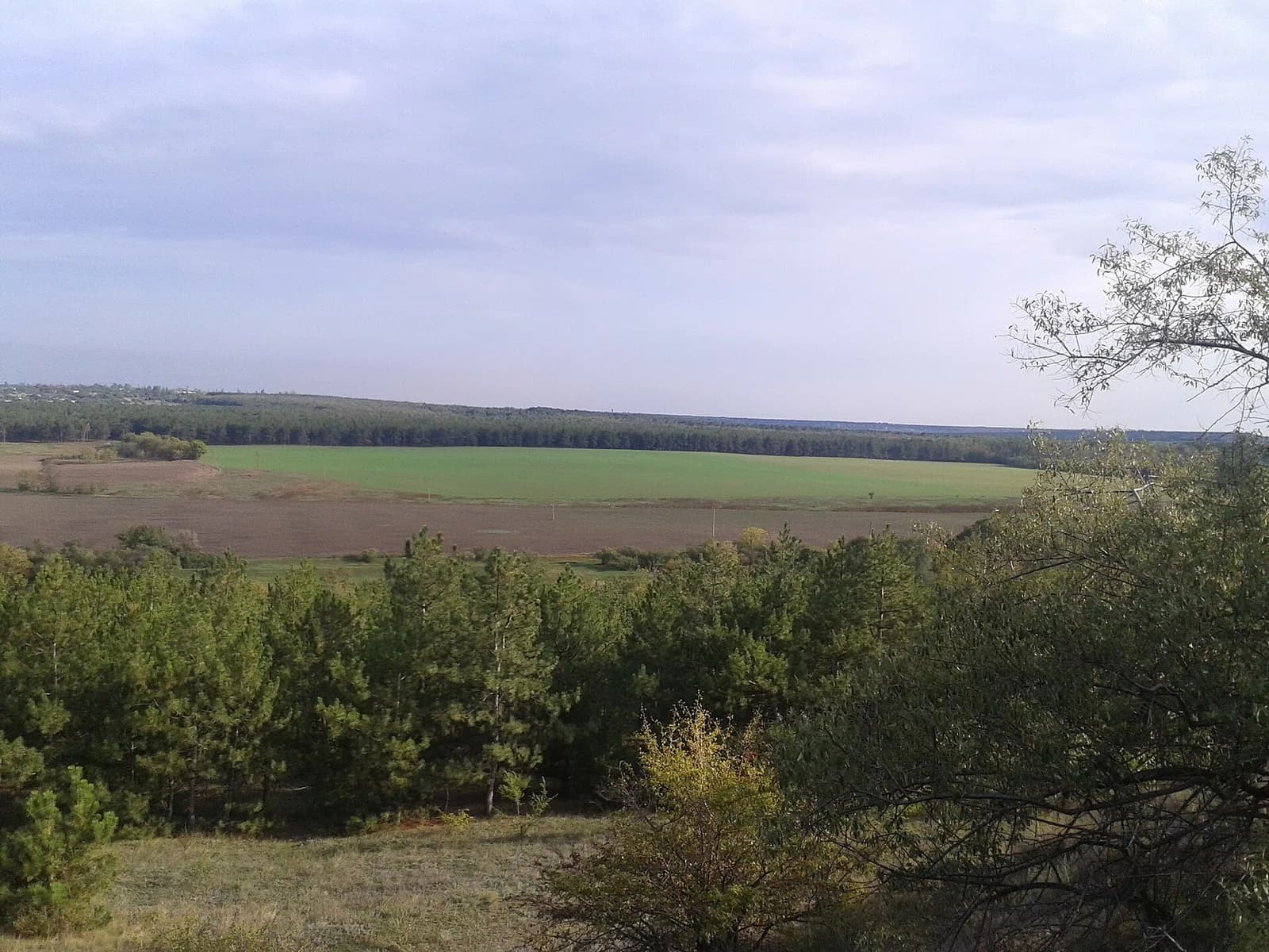 Bila Krynytsia