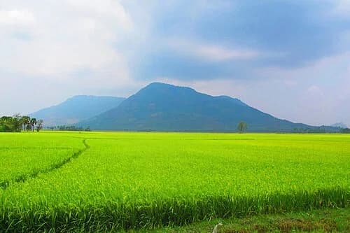 An Giang
