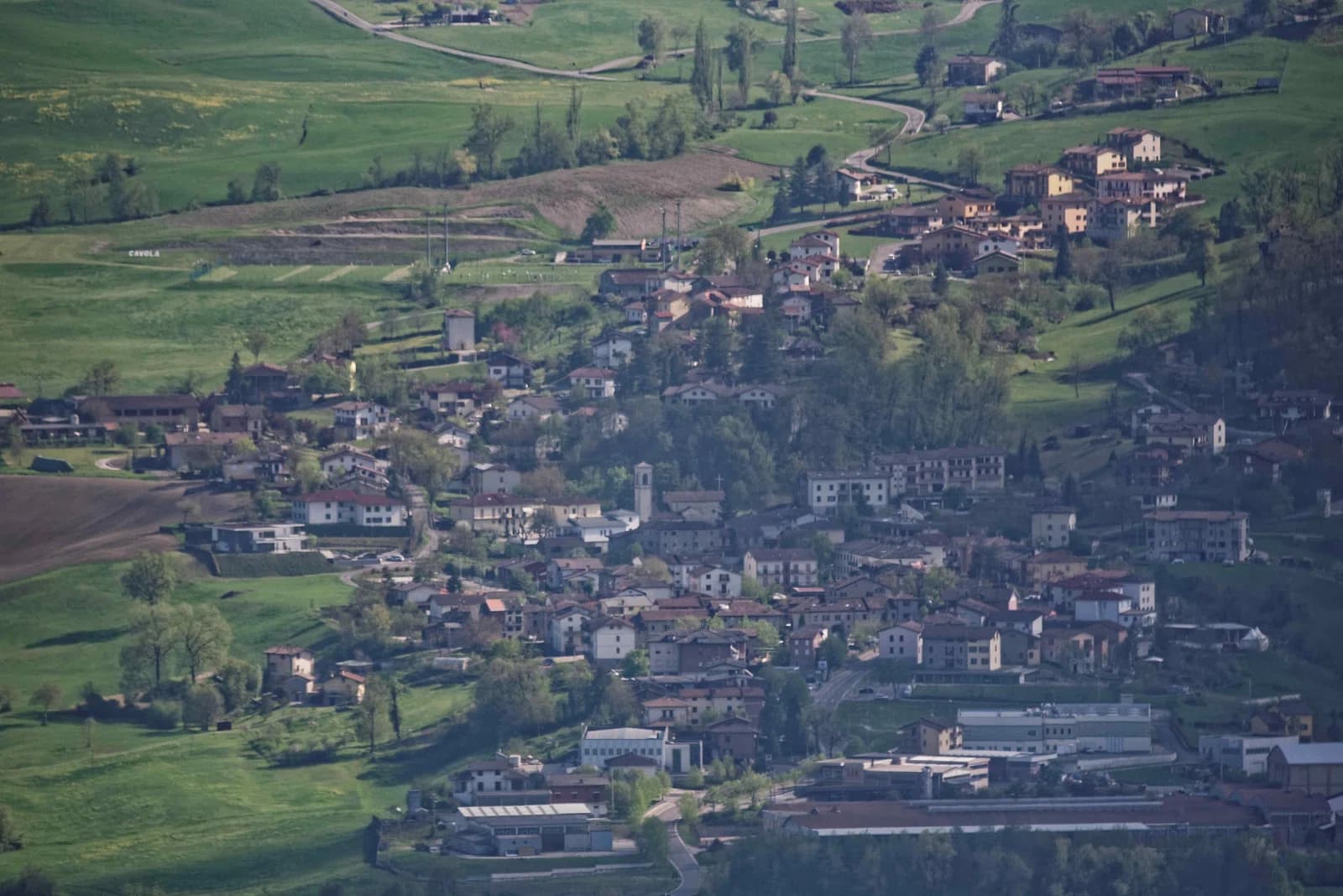 Cavola
