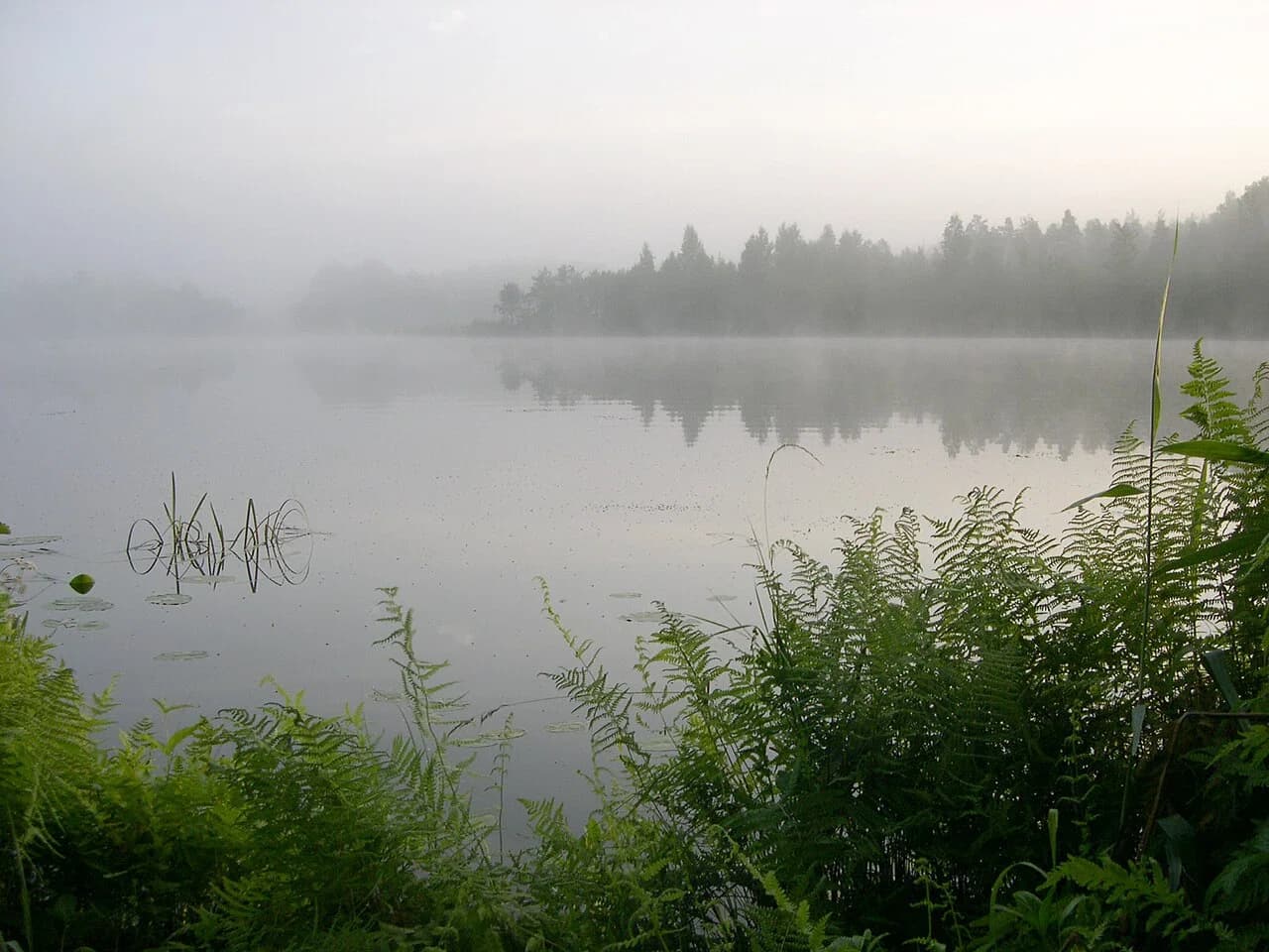 Sebezhsky District