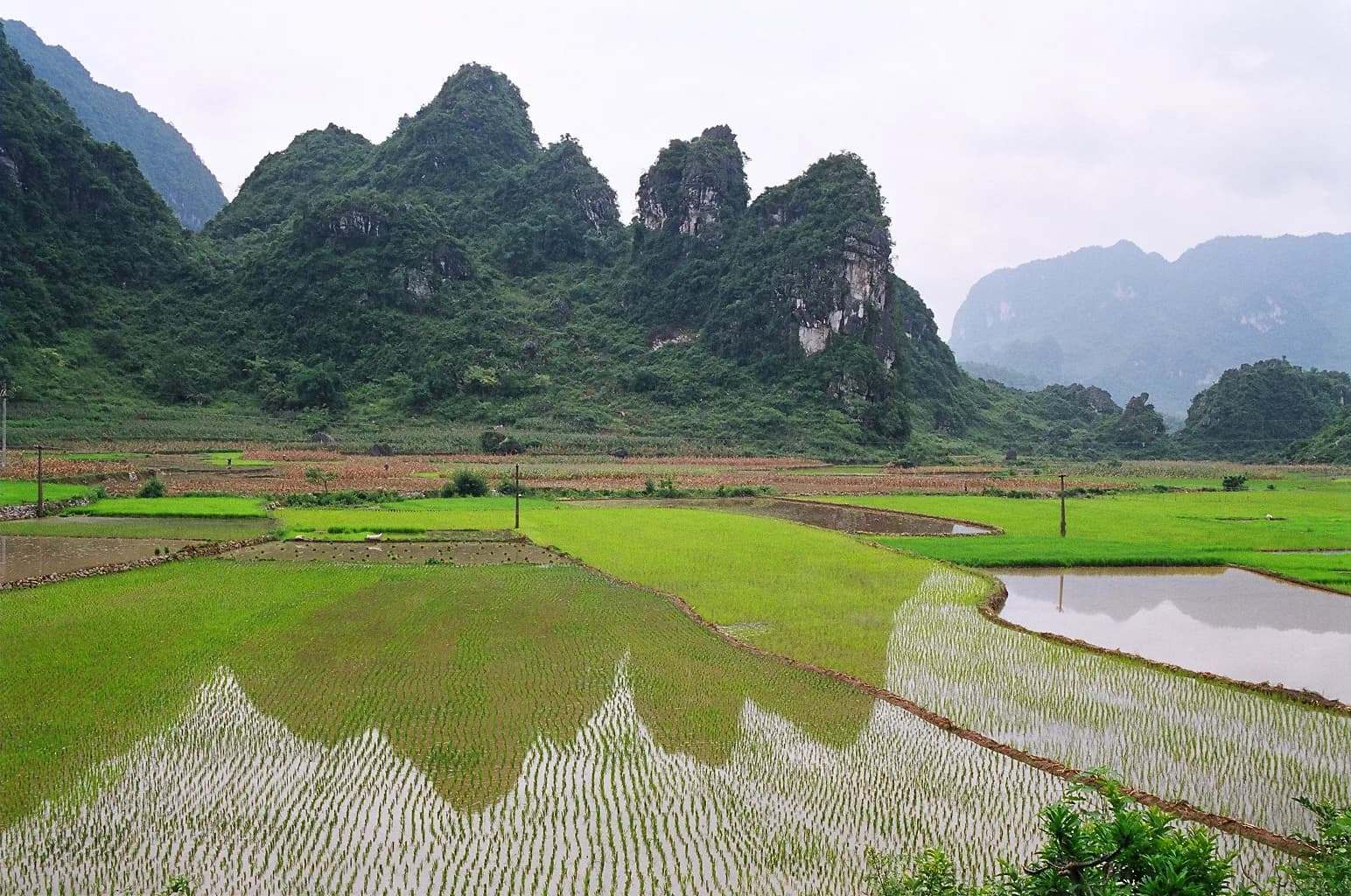 Cao Bằng