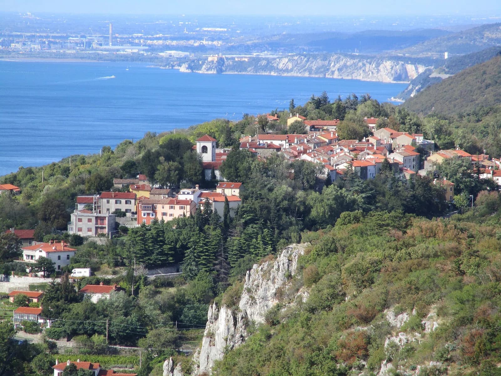 Contovello