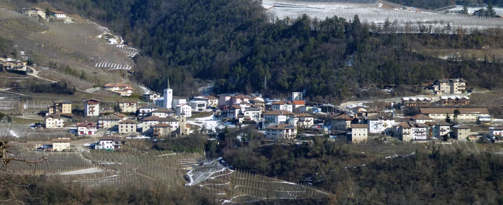 Dermulo