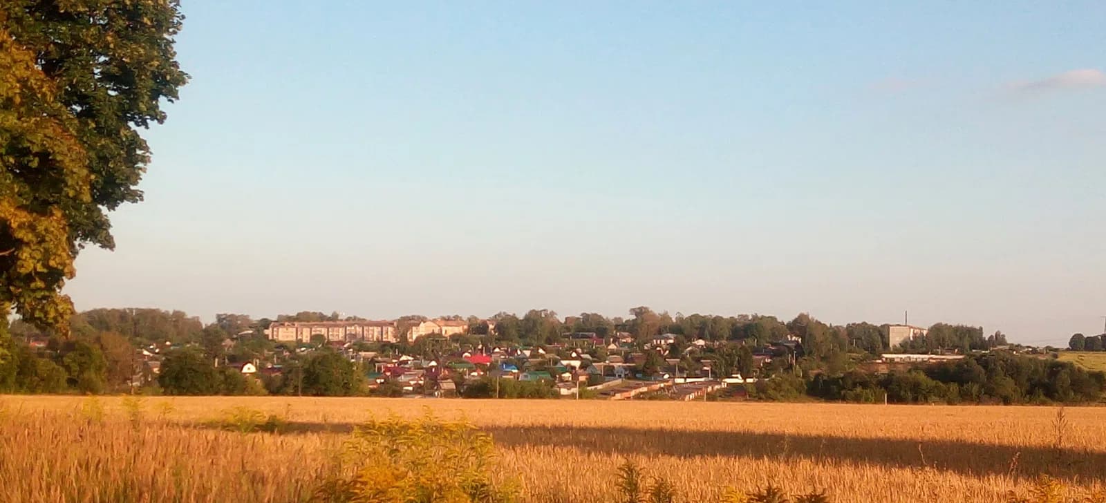 Dubovka
