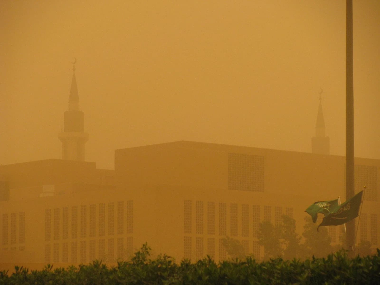 Imam Muhammad ibn Saud Islamic University