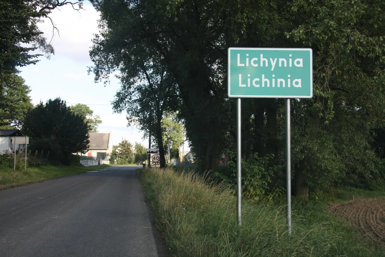 Lichinia