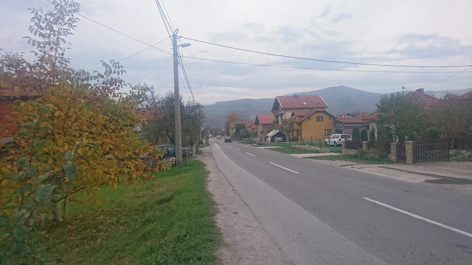 Čatići