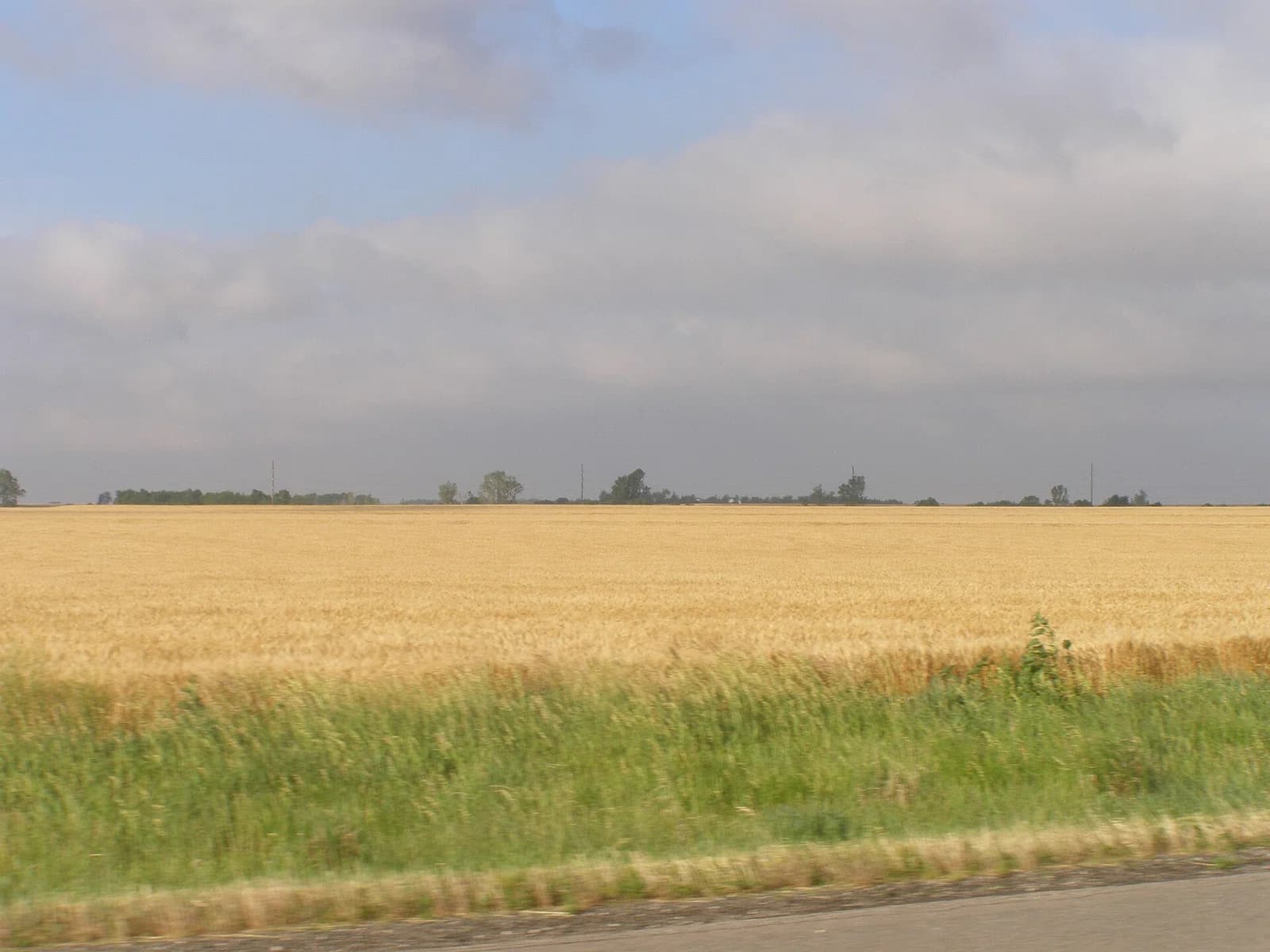 Rice County