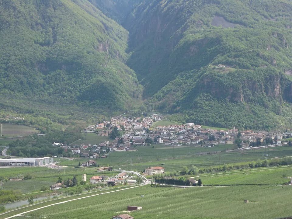 Branzoll