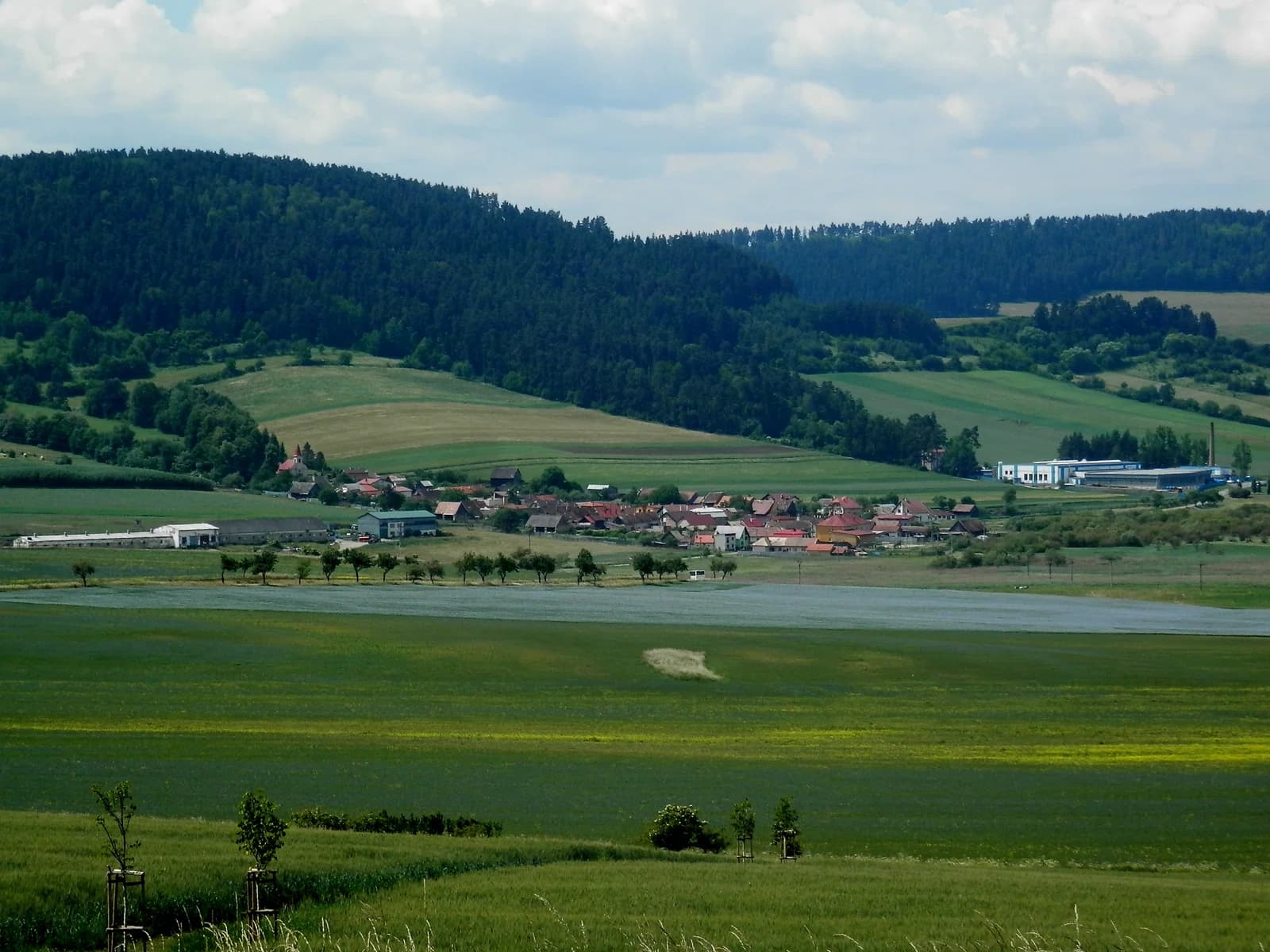 Baldovce