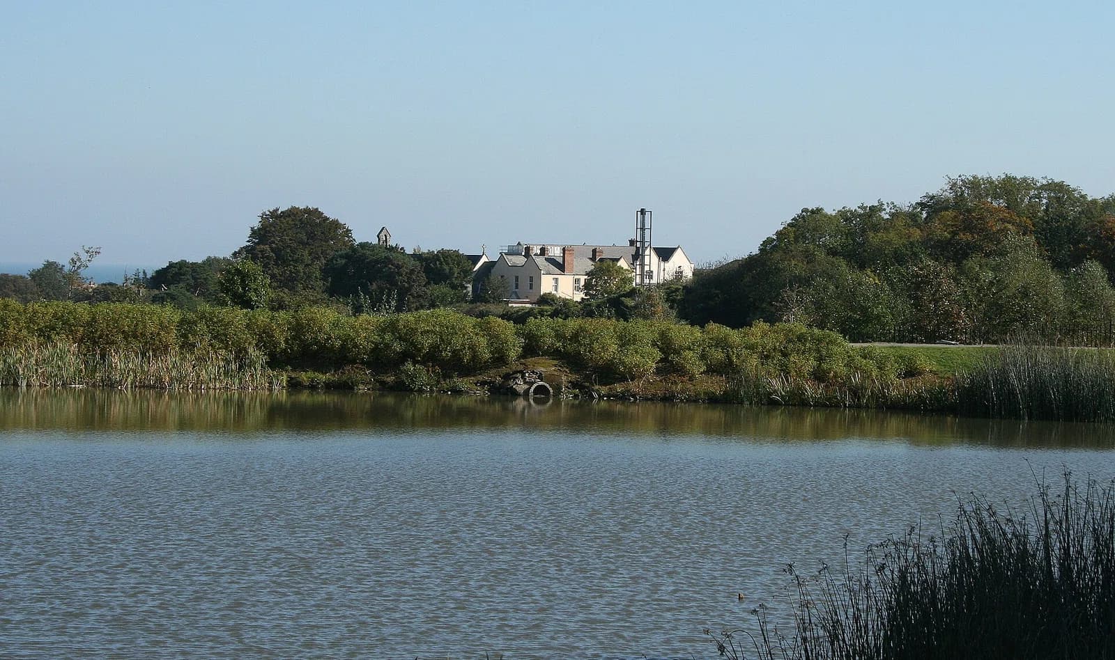 Loughlinstown